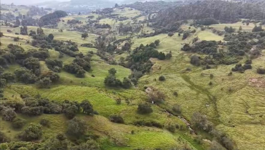 Finca en venta en Centro, La Calera · foto 5 de 19