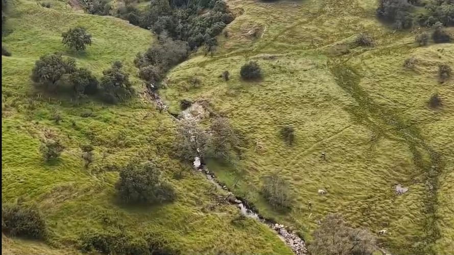 Finca en venta en Centro, La Calera · foto 6 de 19