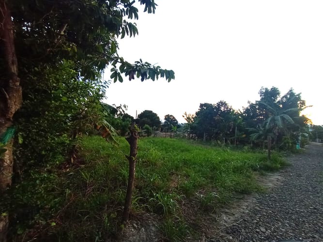 Lote en venta en Rozo, Palmira, 162 m² · foto 6 de 17
