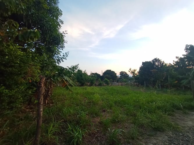 Lote en venta en Rozo, Palmira, 162 m² · foto 7 de 17