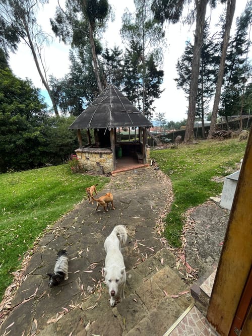 Casa de 10 alcobas en venta en Yerbabuena, Chía, 825 m² · foto 17 de 24