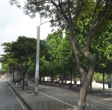Local en venta en Sevilla, Medellín, 30 m² · foto 5 de 8