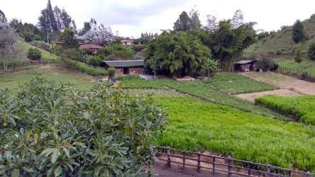 Finca en venta en El Carmin, Rionegro, 150 m² · foto 3 de 12