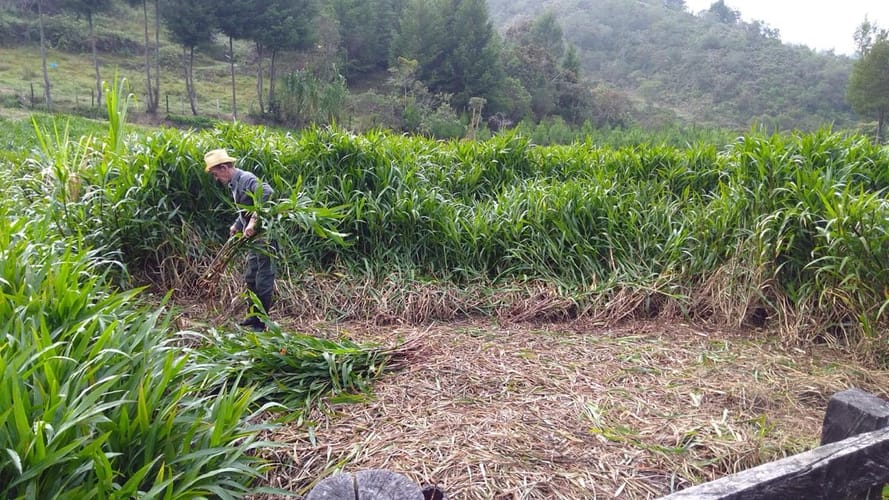 Finca en venta en El Carmin, Rionegro, 150 m² · foto 6 de 12
