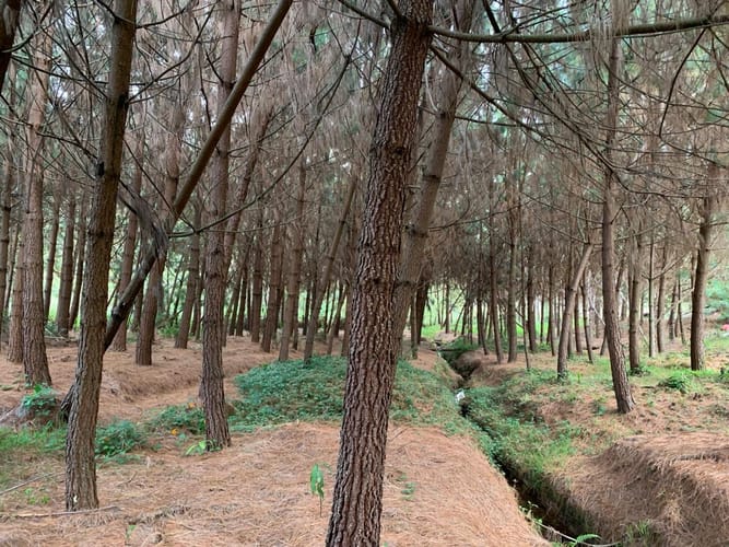 Finca en venta en El Carmin, Rionegro, 150 m² · foto 7 de 12