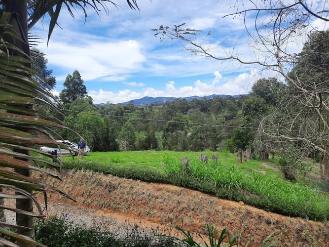 Lote en venta en El Carmen De Viboral, El Carmen de Viboral, 3163 m² · foto 2 de 17