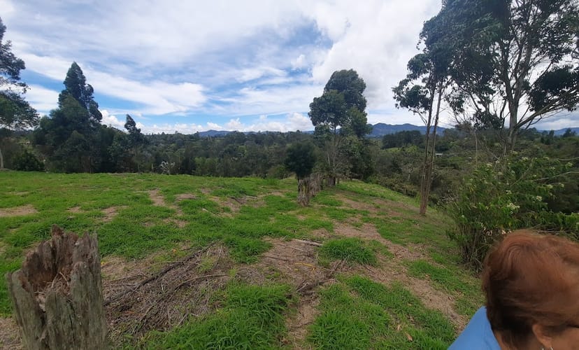 Lote en venta en El Carmen De Viboral, El Carmen de Viboral, 3163 m² · foto 5 de 17
