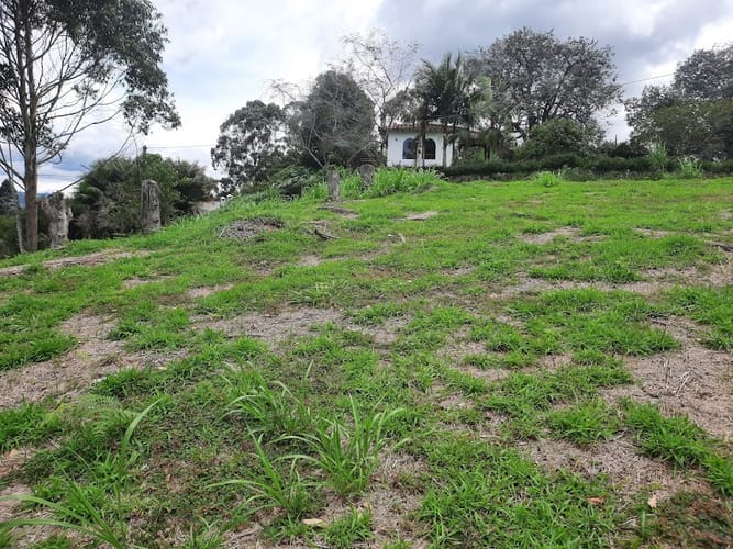 Lote en venta en El Carmen De Viboral, El Carmen de Viboral, 3163 m² · foto 7 de 17