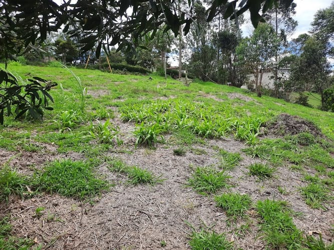 Lote en venta en El Carmen De Viboral, El Carmen de Viboral, 3163 m² · foto 8 de 17