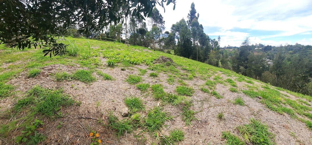 Lote en venta en El Carmen De Viboral, El Carmen de Viboral, 3163 m² · foto 9 de 17