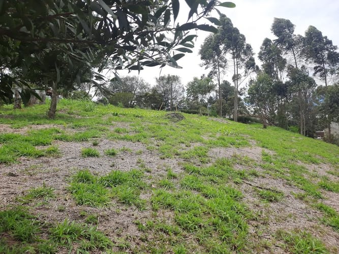 Lote en venta en El Carmen De Viboral, El Carmen de Viboral, 3163 m² · foto 10 de 17