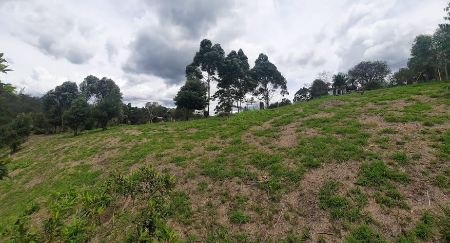 Lote en venta en El Carmen De Viboral, El Carmen de Viboral, 3163 m² · foto 11 de 17