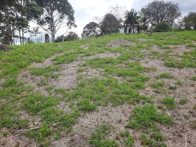 Lote en venta en El Carmen De Viboral, El Carmen de Viboral, 3163 m² · foto 12 de 17