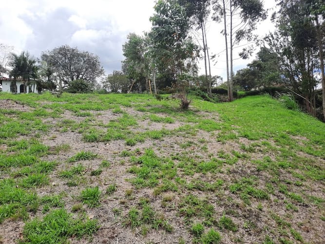 Lote en venta en El Carmen De Viboral, El Carmen de Viboral, 3163 m² · foto 13 de 17