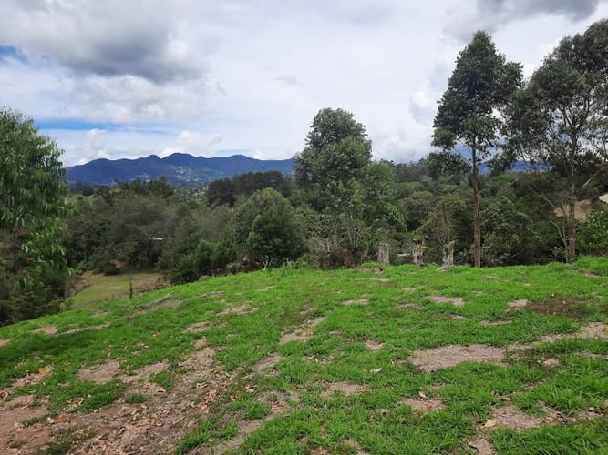 Lote en venta en El Carmen De Viboral, El Carmen de Viboral, 3163 m² · foto 15 de 17