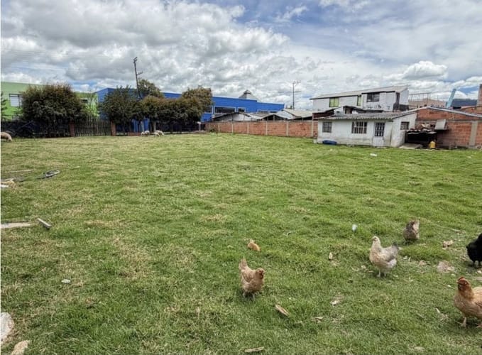 Lote en venta en Canelon, Cajicá, 1147 m² · foto 4 de 10