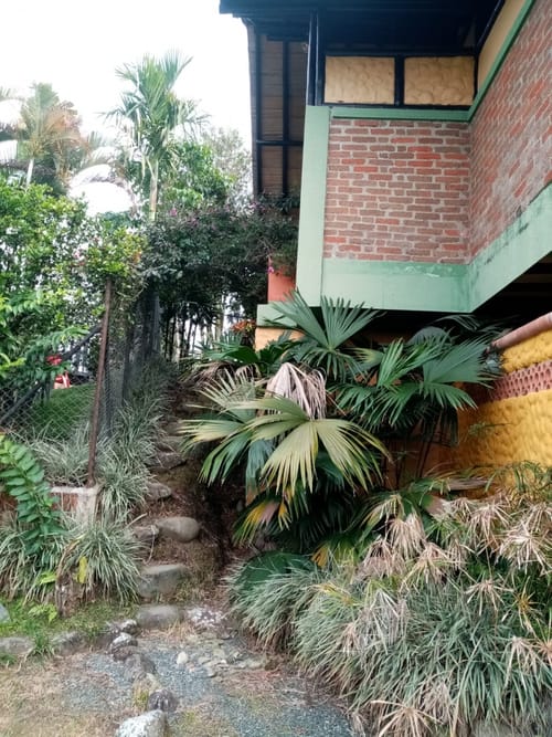 Local en arriendo en San Jose Sur, Pereira, 1800 m² · foto 9 de 15