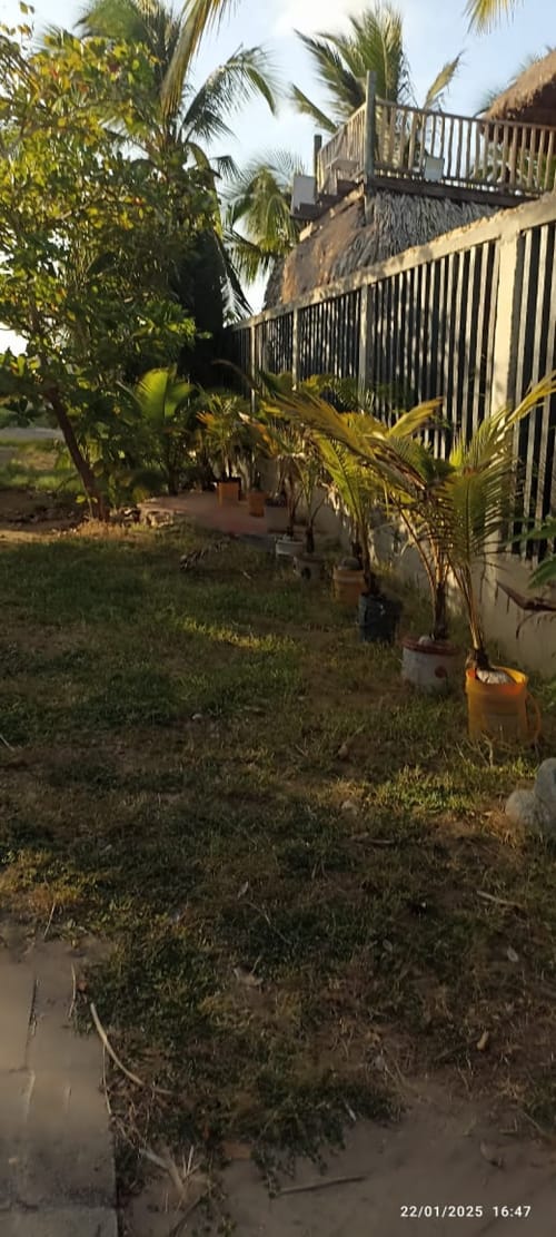 Lote en arriendo en Miramar, Barranquilla, 1400 m² · foto 3 de 20