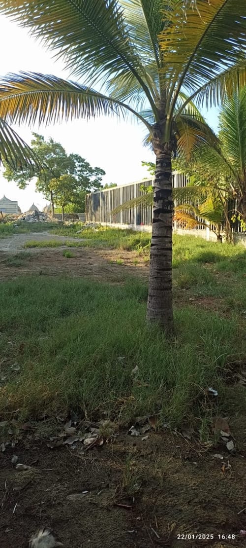 Lote en arriendo en Miramar, Barranquilla, 1400 m² · foto 4 de 20