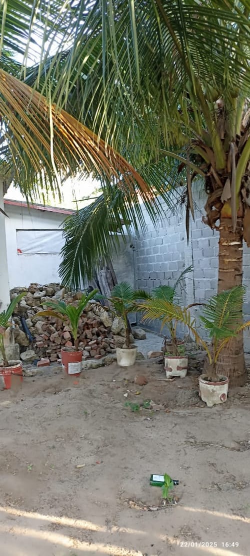 Lote en arriendo en Miramar, Barranquilla, 1400 m² · foto 9 de 20