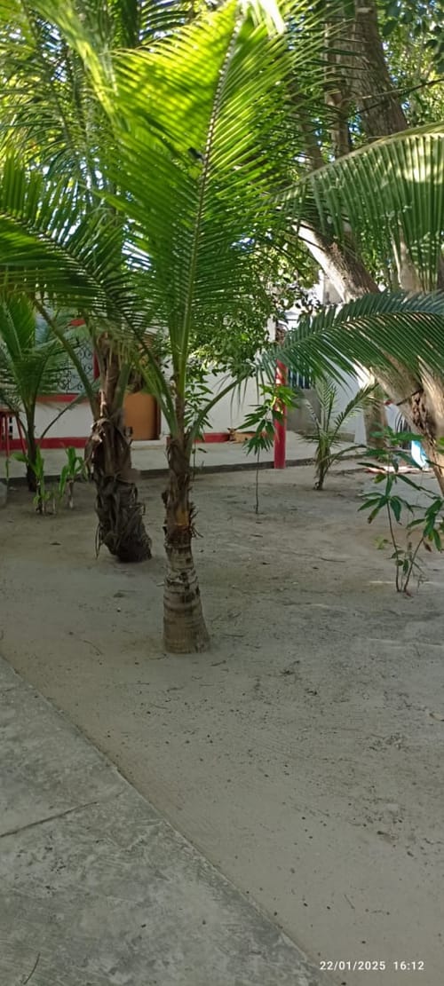 Lote en arriendo en Miramar, Barranquilla, 1400 m² · foto 20 de 20