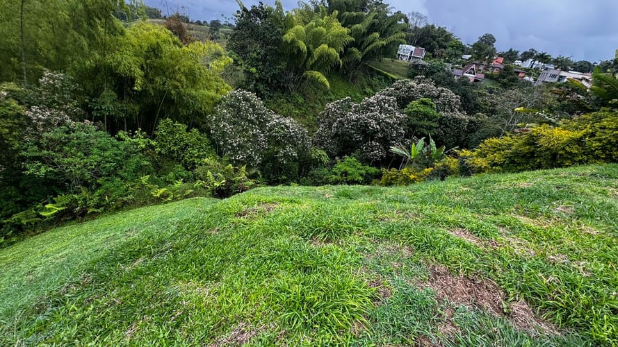 Lote en venta en Tribunas Corcega, Pereira, 1585 m² · foto 2 de 9