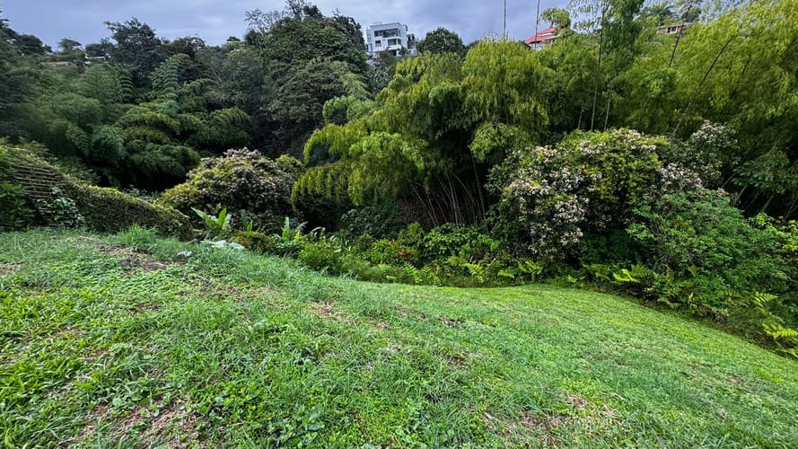 Lote en venta en Tribunas Corcega, Pereira, 1585 m² · foto 3 de 9