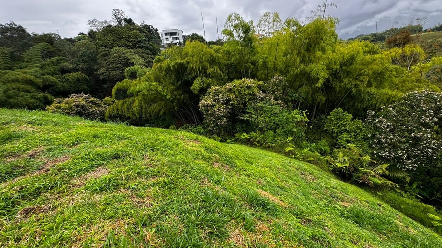 Lote en venta en Tribunas Corcega, Pereira, 1585 m² · foto 8 de 9