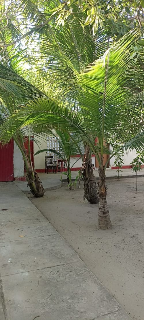 Lote en venta en Sabanilla, Barranquilla, 1400 m² · foto 19 de 24