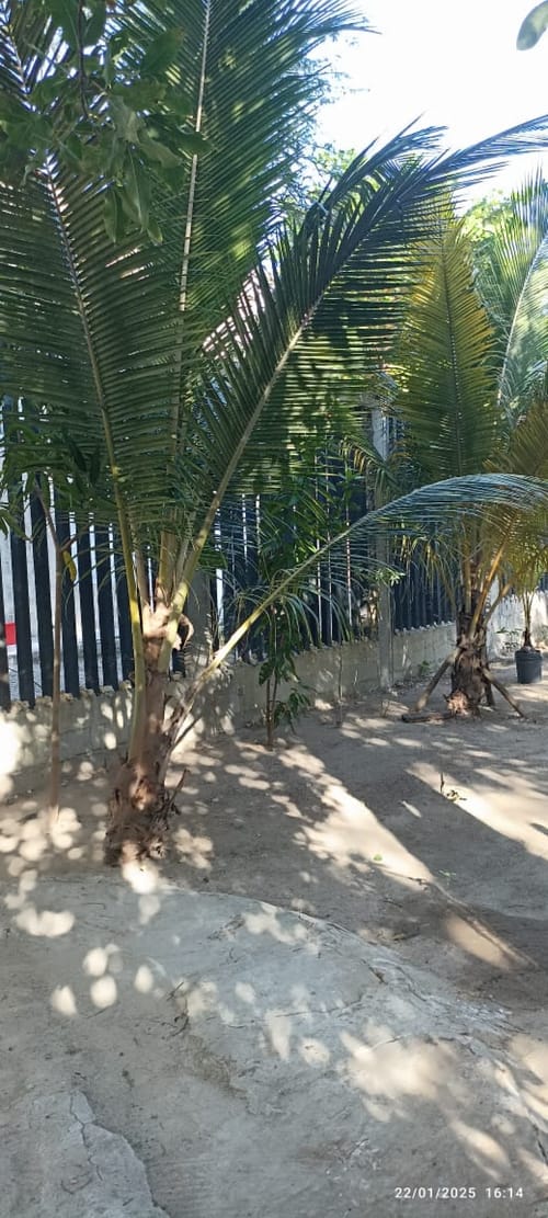 Lote en venta en Sabanilla, Barranquilla, 1400 m² · foto 21 de 24