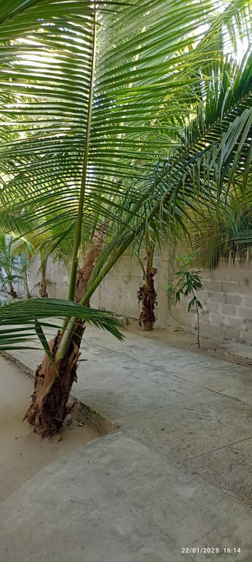 Lote en venta en Sabanilla, Barranquilla, 1400 m² · foto 22 de 24