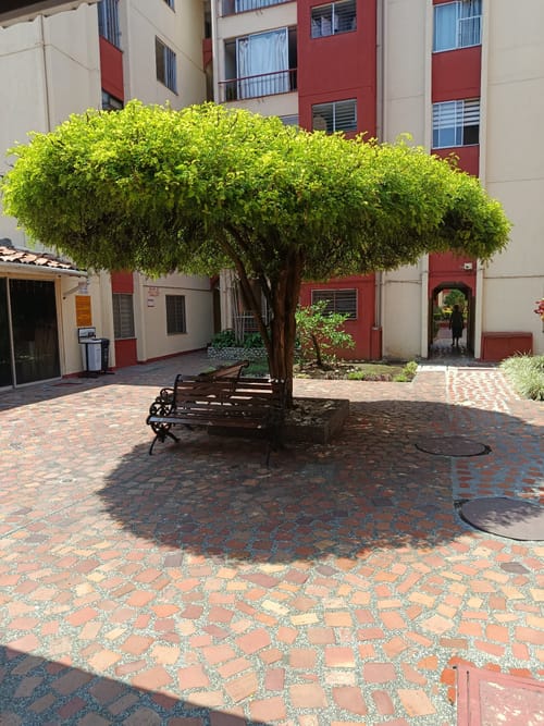 Apartamento de 3 alcobas en venta en Prados Del Norte, Cali, 70 m² · foto 14 de 17