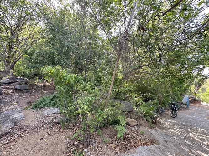 Lote en venta en Corregimiento De Minca, Santa Marta, 400 m² · foto 2 de 7