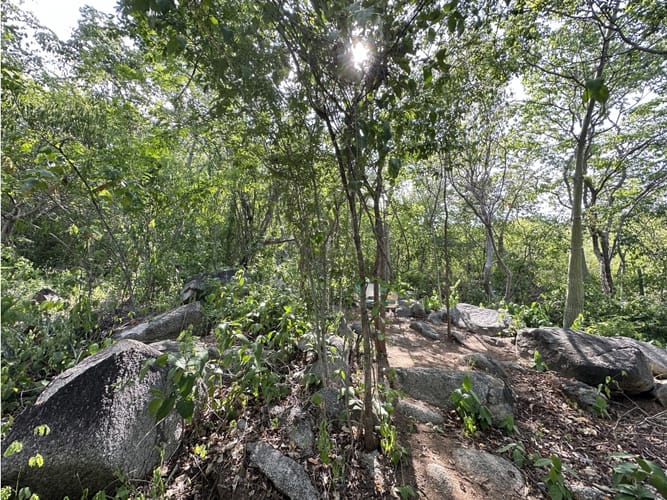 Lote en venta en Corregimiento De Minca, Santa Marta, 400 m² · foto 3 de 7