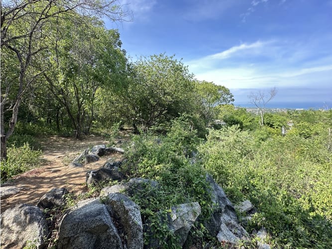Lote en venta en Corregimiento De Minca, Santa Marta, 400 m² · foto 4 de 7