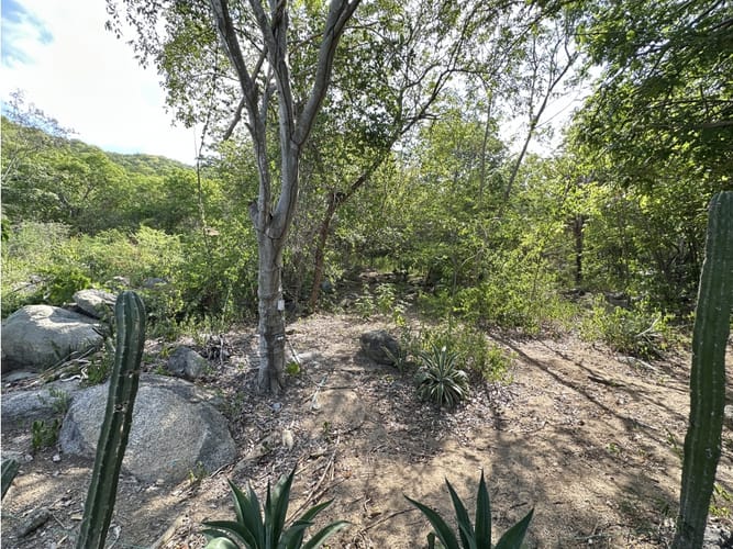 Lote en venta en Corregimiento De Minca, Santa Marta, 400 m² · foto 6 de 7