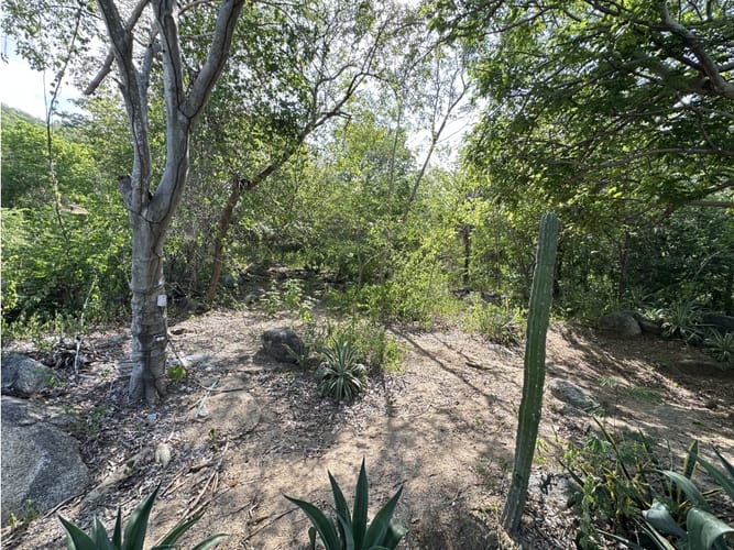 Lote en venta en Corregimiento De Minca, Santa Marta, 400 m² · foto 7 de 7