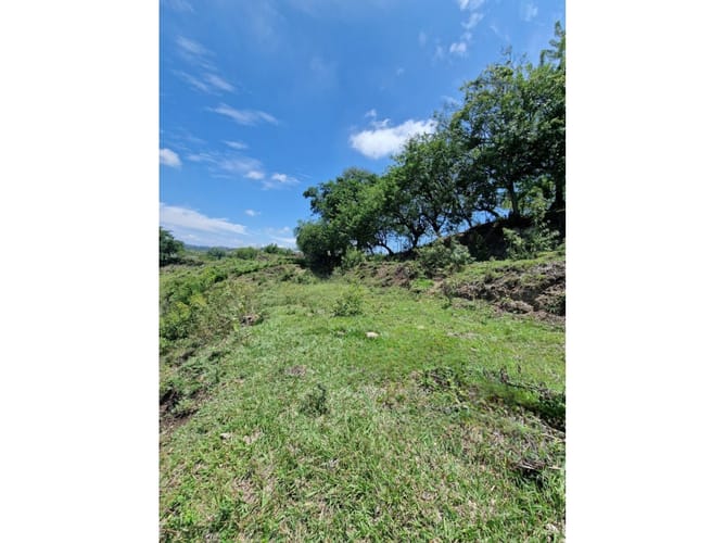 Lote en venta en Zaragoza, Cartagena, 1208 m² · foto 4 de 5