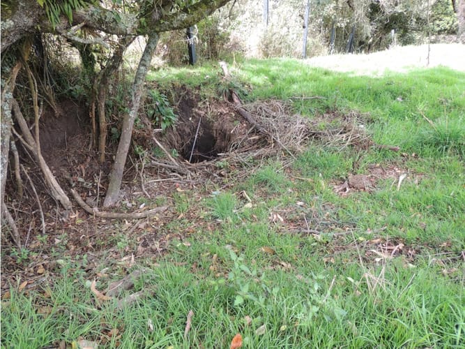 Lote en venta en El Hato, La Calera, 10000 m² · foto 3 de 24