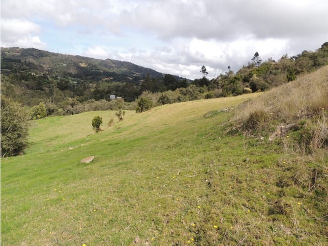 Lote en venta en El Hato, La Calera, 10000 m² · foto 6 de 24
