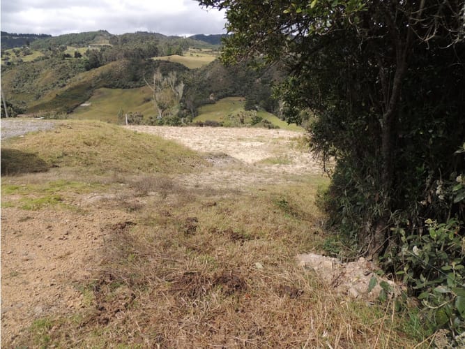Lote en venta en El Hato, La Calera, 10000 m² · foto 9 de 24