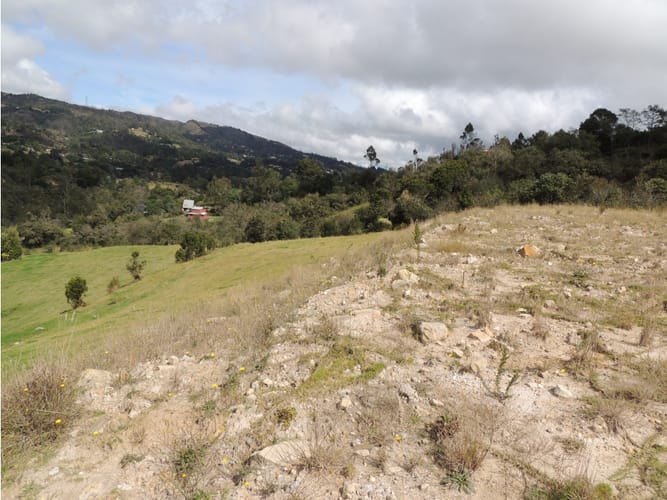 Lote en venta en El Hato, La Calera, 10000 m² · foto 10 de 24