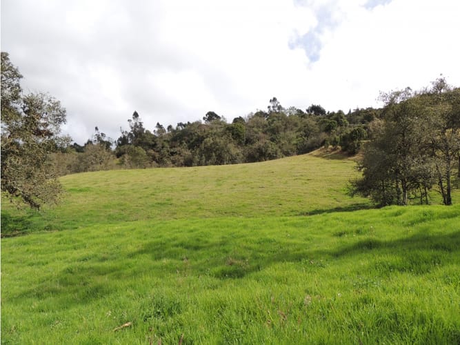 Lote en venta en El Hato, La Calera, 10000 m² · foto 16 de 24