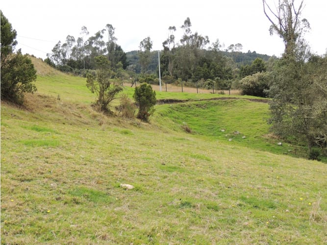 Lote en venta en El Hato, La Calera, 10000 m² · foto 17 de 24