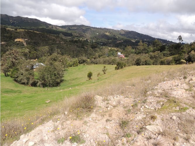 Lote en venta en El Hato, La Calera, 10000 m² · foto 18 de 24
