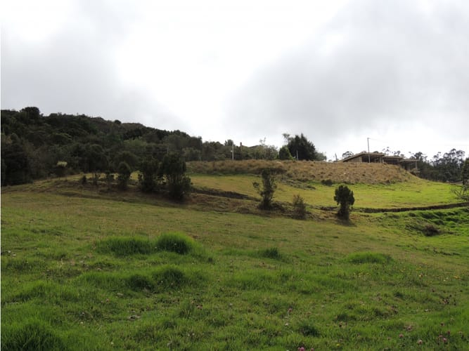 Lote en venta en El Hato, La Calera, 10000 m² · foto 19 de 24