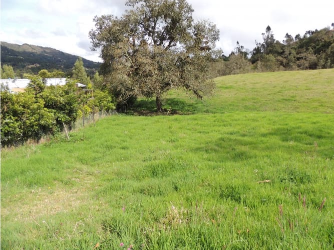 Lote en venta en El Hato, La Calera, 10000 m² · foto 24 de 24