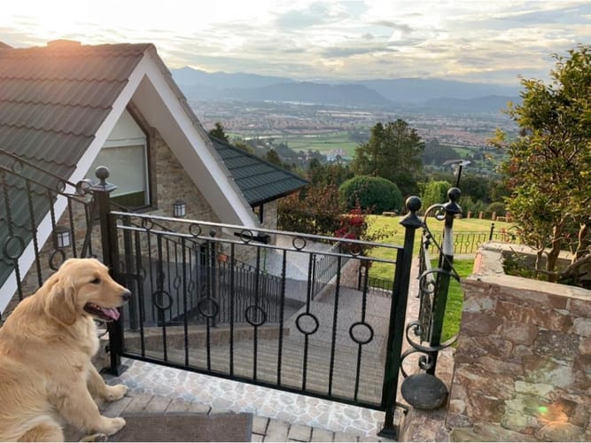 Finca en venta en Pueblo Viejo, Sopó, 450 m² · foto 6 de 24