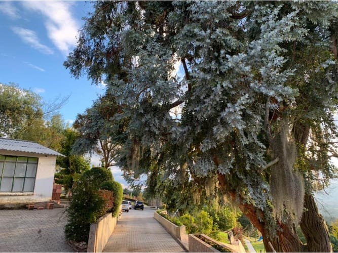 Finca en venta en Pueblo Viejo, Sopó, 450 m² · foto 9 de 24