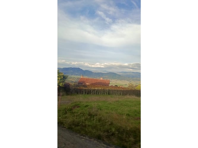 Lote en venta en San Gabriel, Sopó, 17000 m² · foto 7 de 10